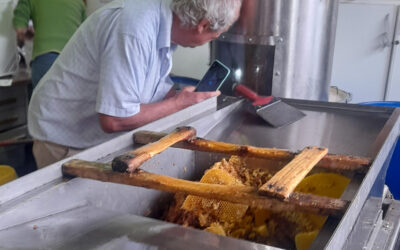 La Ginestra 12 Settmebre 2024 San Casciano