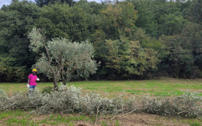 La collaborazione con Barbara e con Saverio